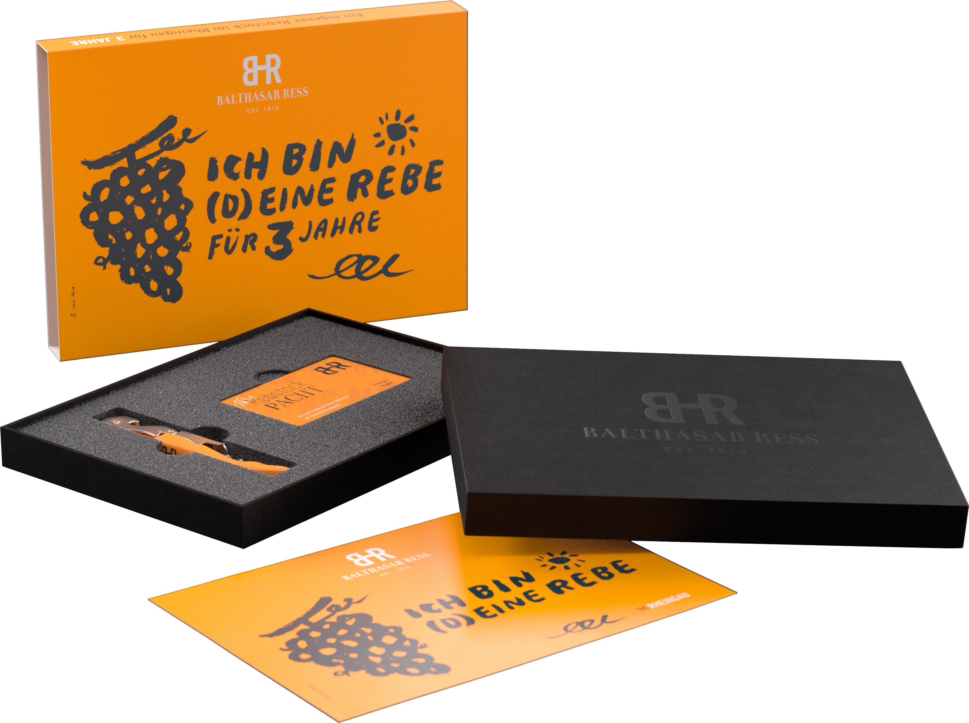 Rebstockpacht Rheingau in der Box