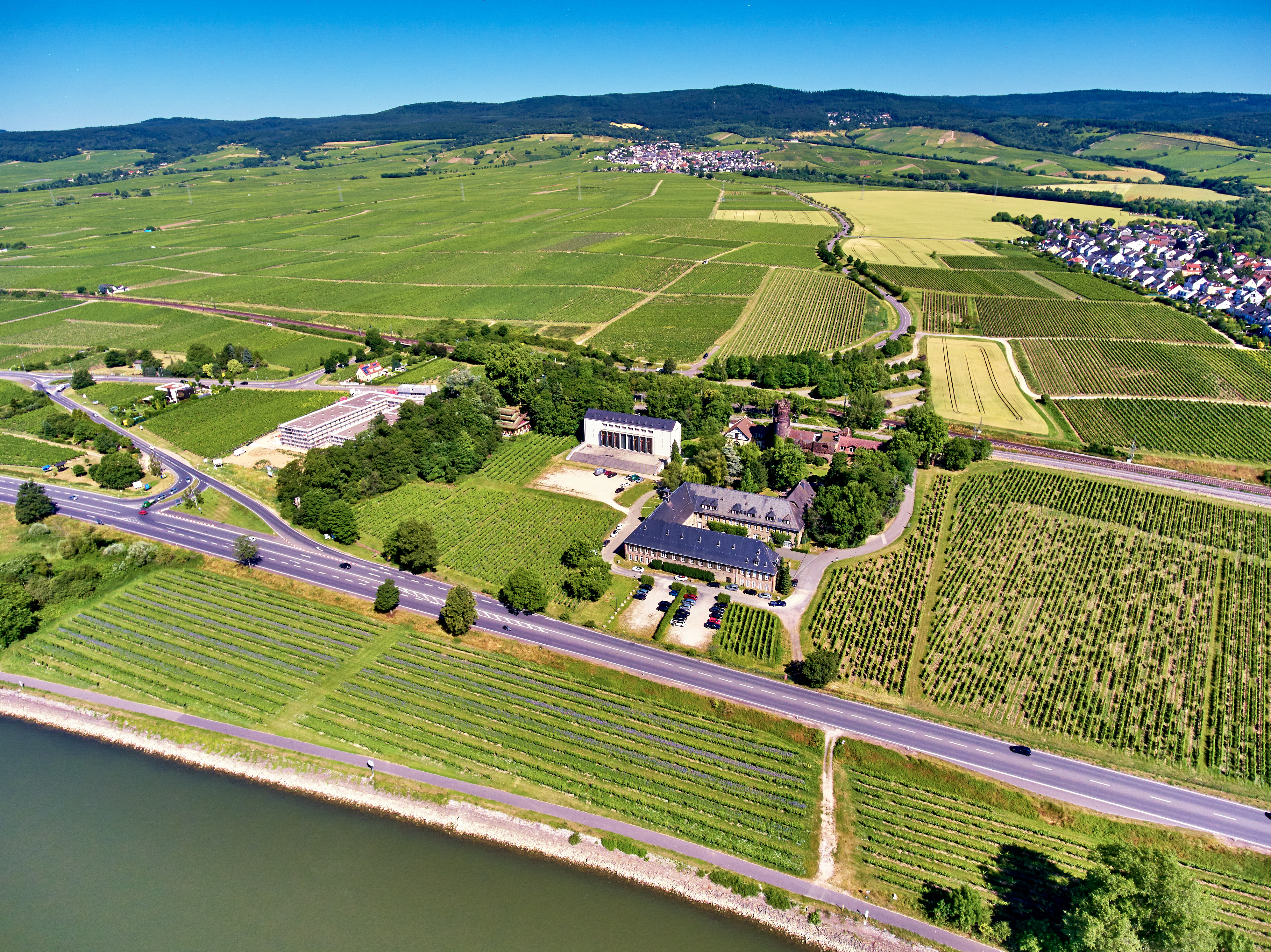 7327_RHG_SCHLOSS-REICHHARTSHAUSEN_Hattenheim_02_byVDP