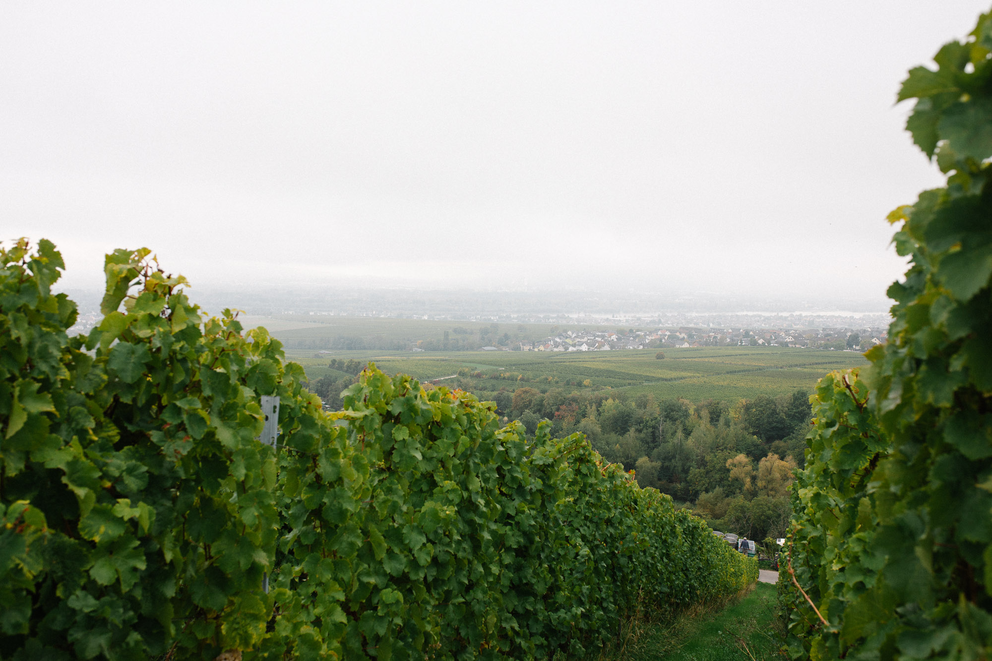 BalthasarRess_22-10-05_web_4145 Ausblick vom Schützenhaus
