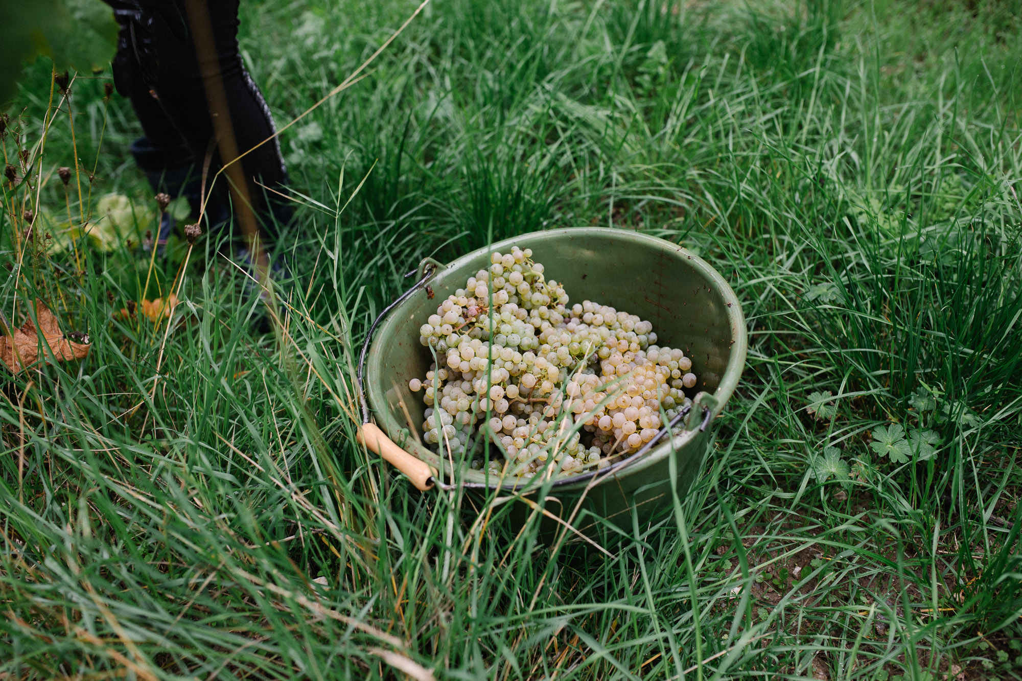 BalthasarRess_22-10-05_web_4161 Handlese