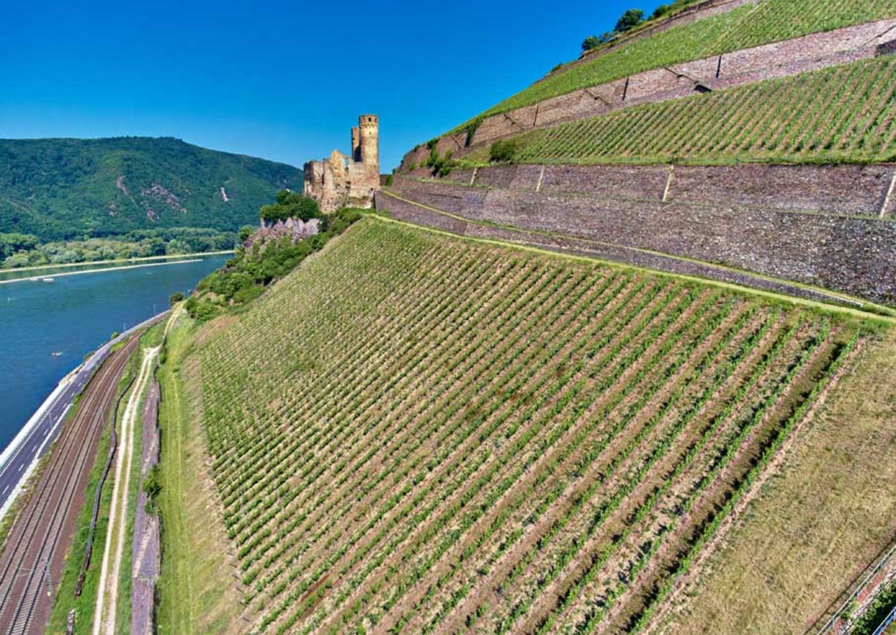 csm_7005_RHG_SCHLOSSBERG_Ruedesheim-Berg_04_byVDP_be40985181
